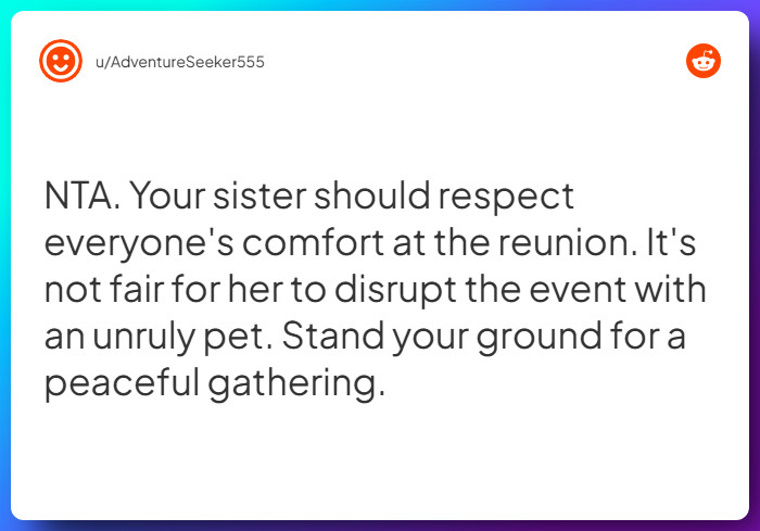 Comment from u/AdventureSeeker555