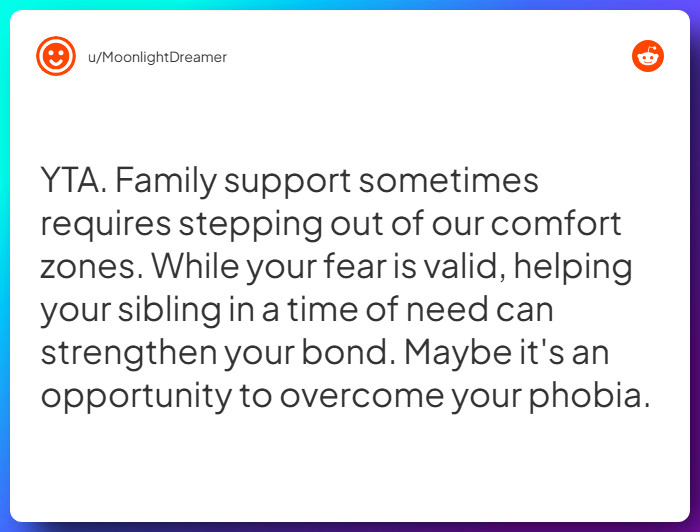 Comment from u/MoonlightDreamer