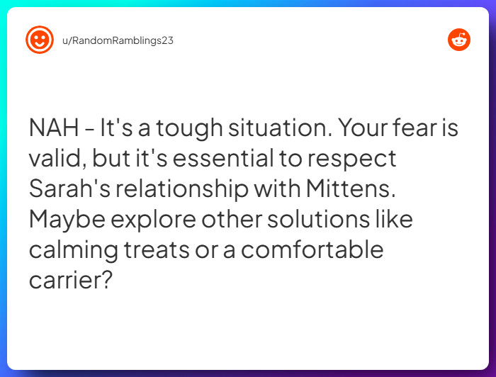 Comment from u/RandomRamblings23