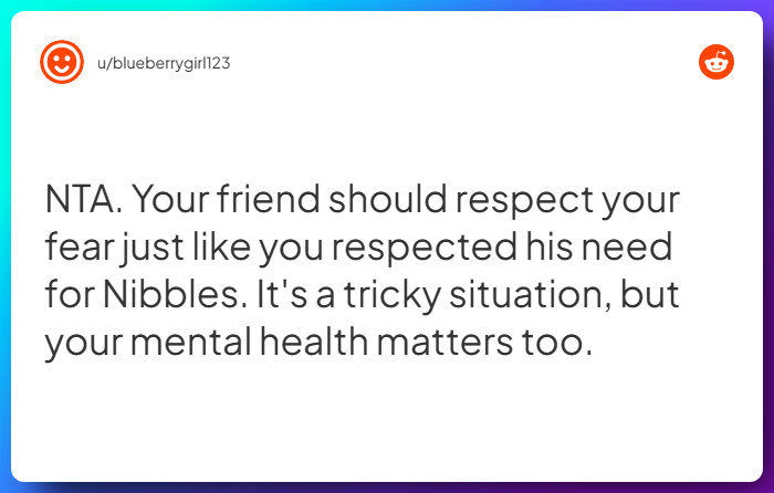 Comment from u/blueberrygirl123