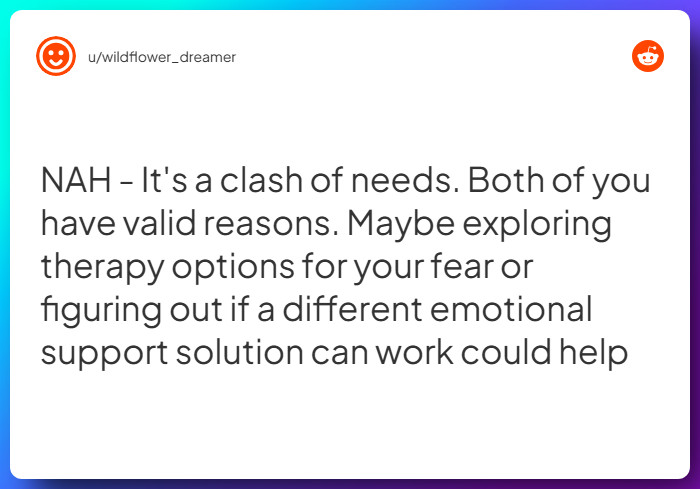 Comment from u/wildflower_dreamer