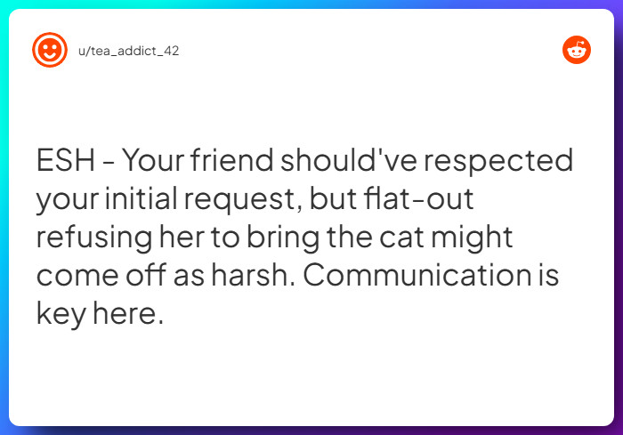 Comment from u/tea_addict_42