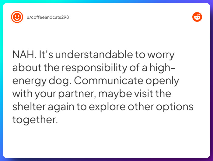 Comment from u/coffeeandcats298