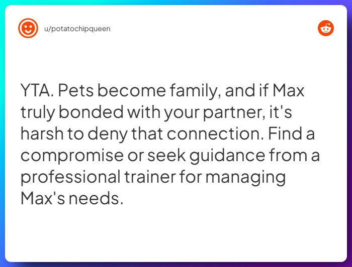 Comment from u/potatochipqueen