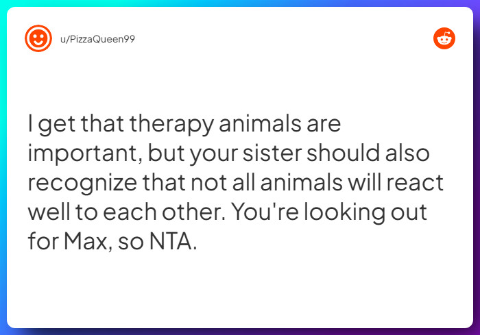 Comment from u/PizzaQueen99