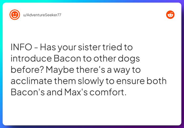 Comment from u/AdventureSeeker77