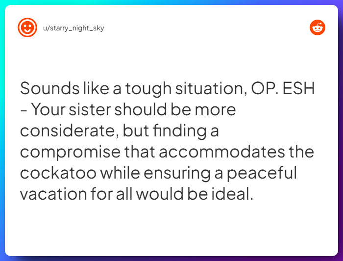 Comment from u/starry_night_sky