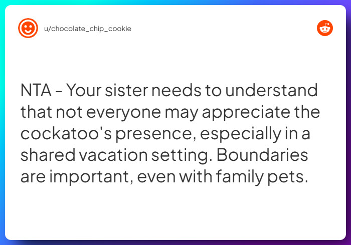 Comment from u/chocolate_chip_cookie