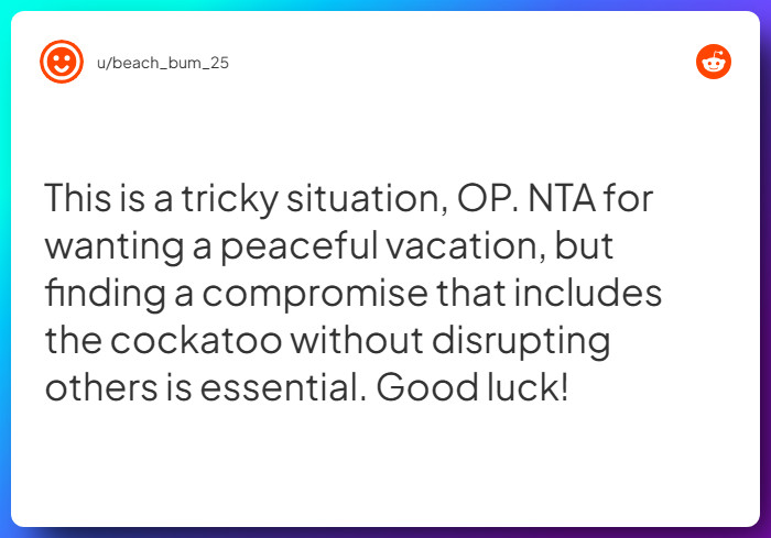 Comment from u/beach_bum_25