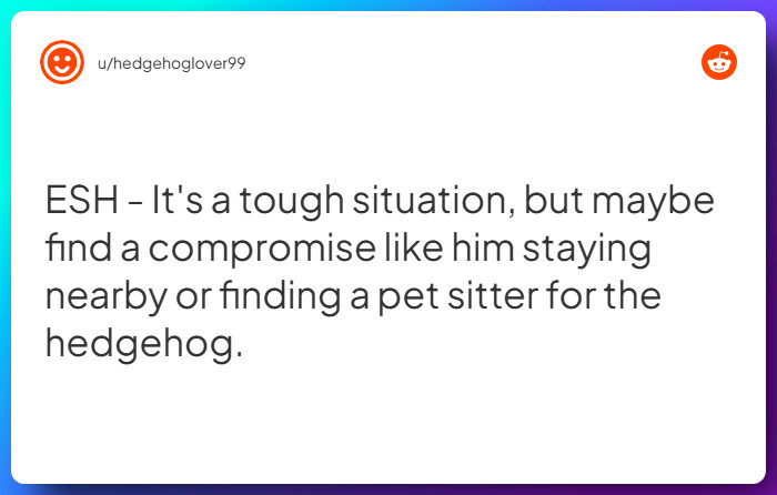 Comment from u/hedgehoglover99