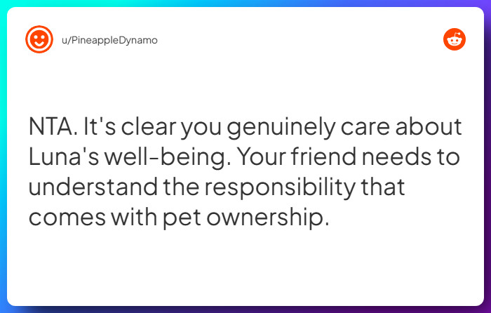 Comment from u/PineappleDynamo