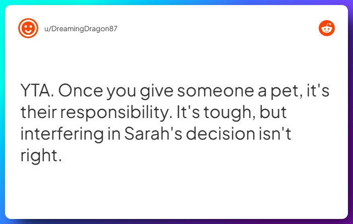 Comment from u/DreamingDragon87