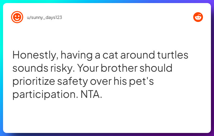 Comment from u/sunny_days123