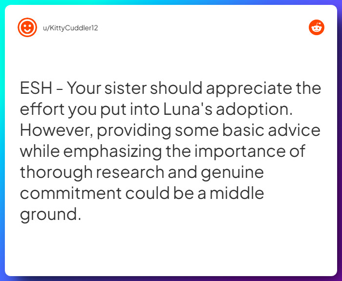 Comment from u/KittyCuddler12