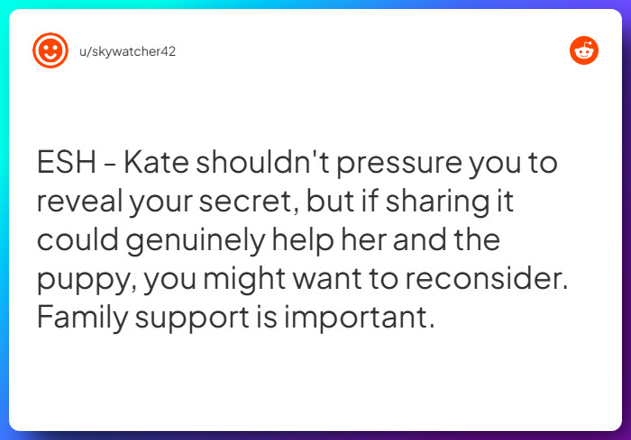 Comment from u/skywatcher42