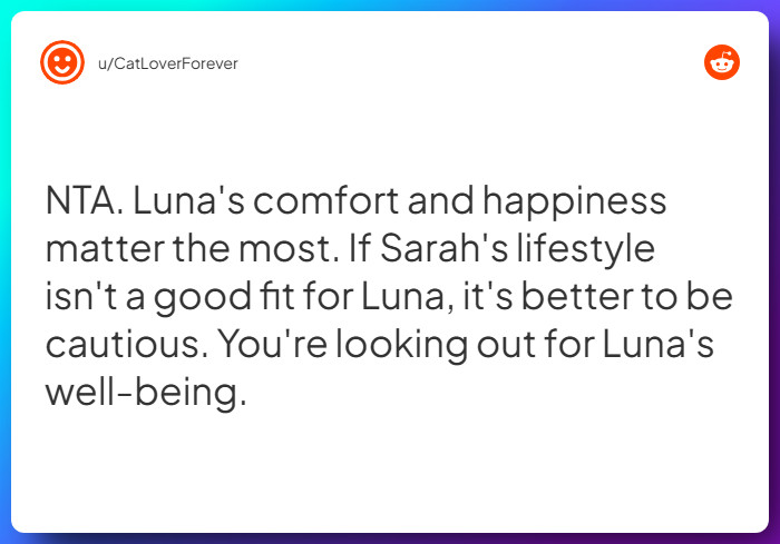 Comment from u/CatLoverForever