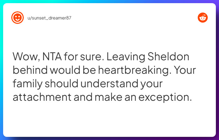 Comment from u/sunset_dreamer87