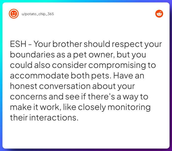 Comment from u/potato_chip_365