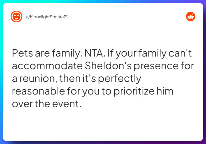 Comment from u/MoonlightSonata22