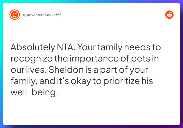 Comment from u/AdventureSeeker55