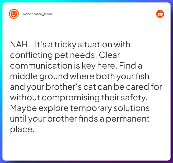 Comment from u/chocolate_lover