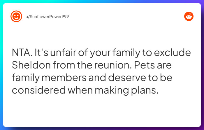 Comment from u/SunflowerPower999