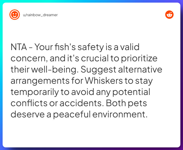 Comment from u/rainbow_dreamer