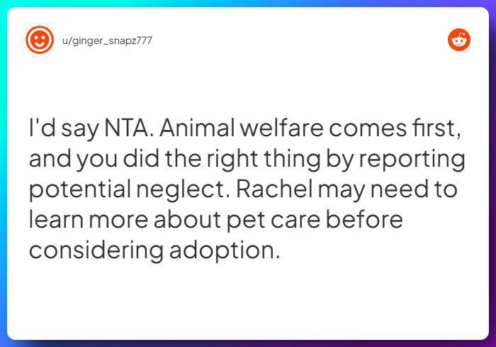 Comment from u/ginger_snapz777