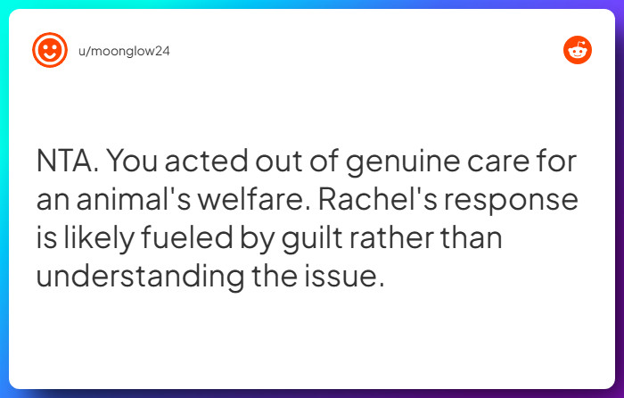 Comment from u/moonglow24