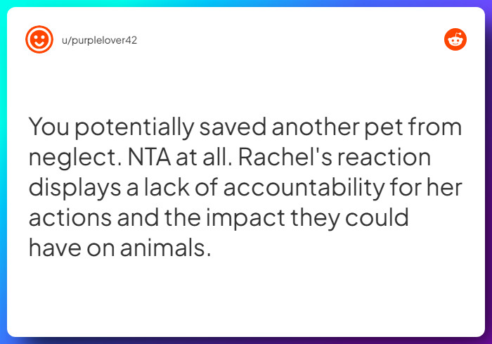 Comment from u/purplelover42