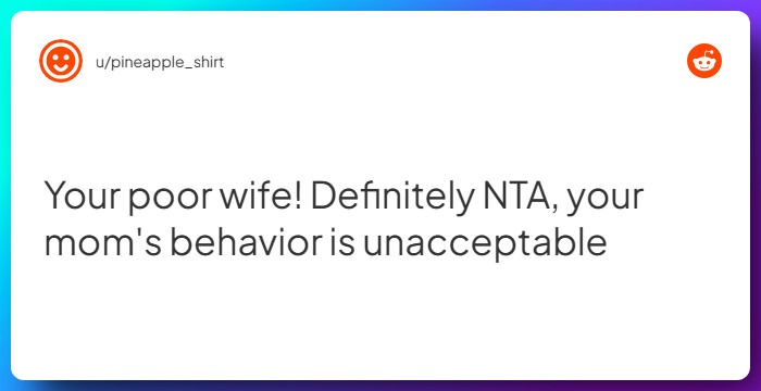 Comment from u/pineapple_shirt