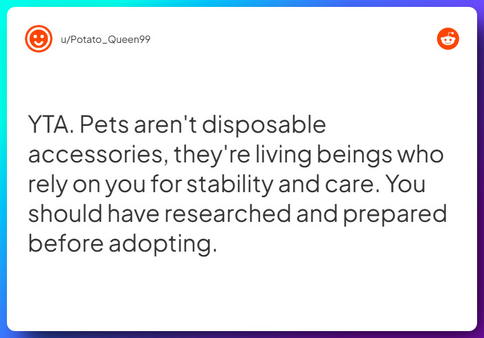 Comment from u/Potato_Queen99