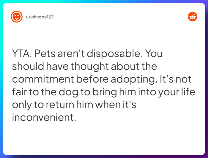 Comment from u/johndoe123