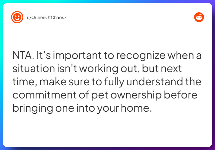 Comment from u/QueenOfChaos7