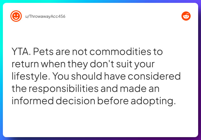 Comment from u/ThrowawayAcc456