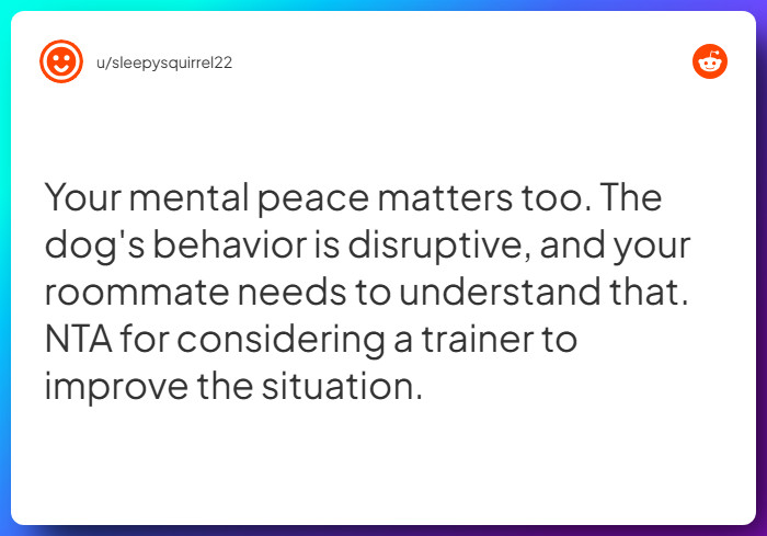 Comment from u/sleepysquirrel22