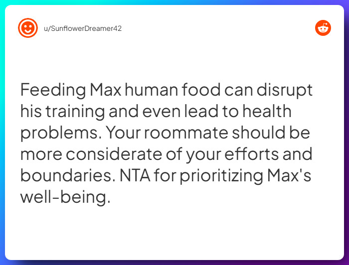 Comment from u/SunflowerDreamer42