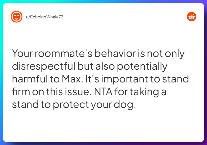 Comment from u/EchoingWhale77