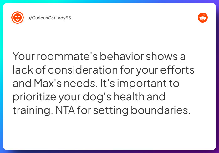 Comment from u/CuriousCatLady55