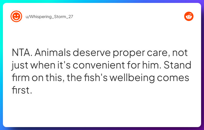 Comment from u/Whispering_Storm_27