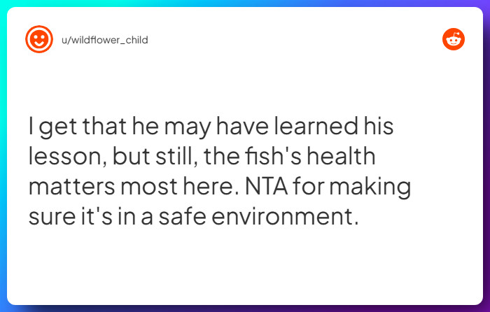 Comment from u/wildflower_child