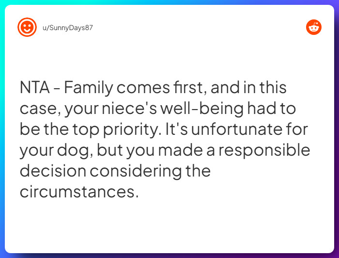 Comment from u/SunnyDays87