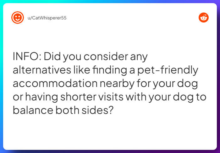 Comment from u/CatWhisperer55