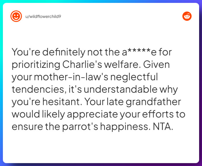 Comment from u/wildflowerchild9