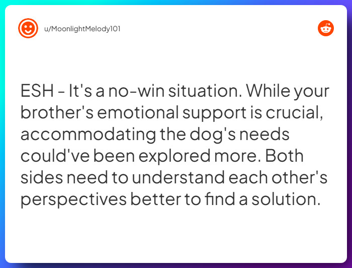 Comment from u/MoonlightMelody101