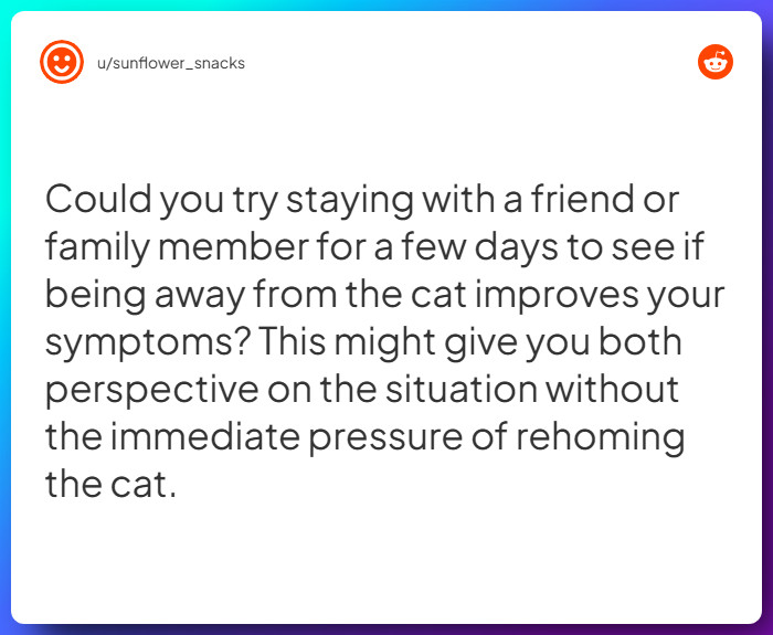 Comment from u/sunflower_snacks