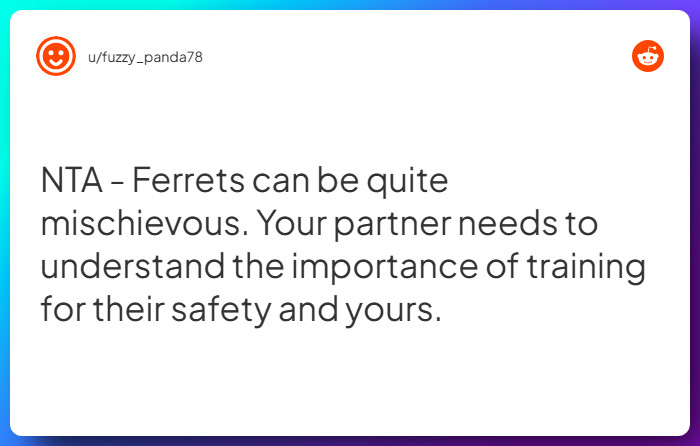 Comment from u/fuzzy_panda78