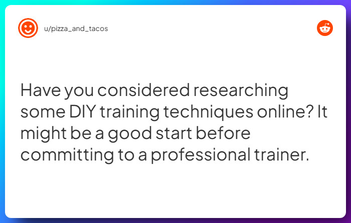 Comment from u/pizza_and_tacos