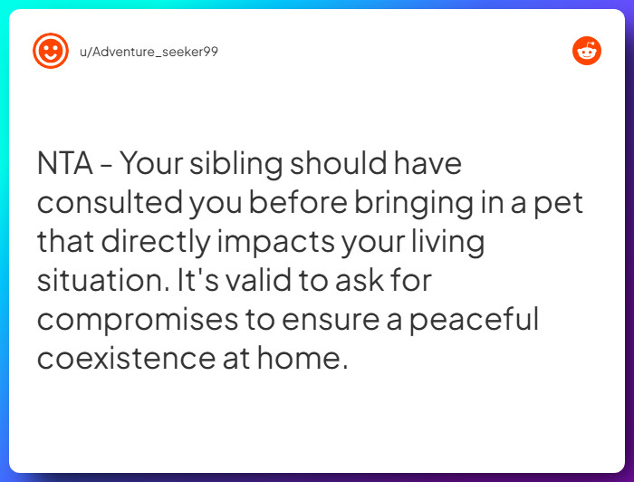 Comment from u/Adventure_seeker99