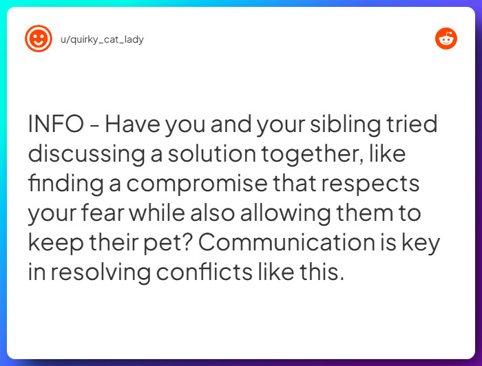 Comment from u/quirky_cat_lady